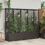 Pakeltas lovas su trelėmis ir stogu Ruda 203 x 40 x 138 cm PP