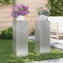 Augalų stovas 2 pcs Sidabro 24 x 24 x 75 cm