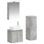 Vonios baldų rinkinys 4 pcs Betono pilka