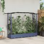 Pakeltas lovas su trelėmis ir stogu Pilka 207 x 40 x 126 cm PP