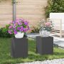 Augalų stovas 2 pcs Juoda 24 x 24 x 35 cm Plienas