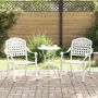 Sodo Kėdė 2 pcs Balta 55 x 56,5 x 91cm Aliuminis