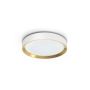 Šviestuvas lubų Philips 929004116001, 24 W, LED, 2700 °K