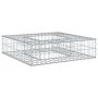 Gabioninė pakelta lova Sidabro 80 x 80 x 20 cm Cinkuota plienas
