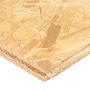 PLOKŠTĖ OSB-3 TG 12X625X2500 (80)