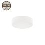 Šviestuvas plafonas Domoletti JACK LD.PD-6.15, 60 W, E27