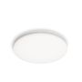 Šviestuvas plafonas Philips Izso, 40 W, LED, 2700 - 6500 °K