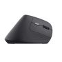 Kompiuterio pelė TRUST BAYO II ERGONOMIC, USB TYPE-C