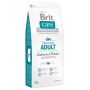 ĖDALAS ŠUNIM BRIT CARE ADULT SALM 12KG