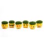 Gėlė vazone žemenė EMOJI MIX, 15 cm, ø9 cm