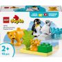 LEGO® Duplo Laukinių gyvūnų šeimos 10442, 10 vnt.