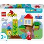 Konstrukt LEGO Duplo Pepos Pig sodas ir namelis medyje 10431