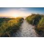 Fototapetas Komar Way to the Beach XXL4-076, 368 cm x 248 cm