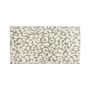 Kilimas vidaus Domoletti PP-FR-RW-1398-E,150x90 cm
