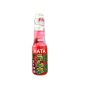 Gazuotas gėrimas RAMUNE WATERMELON 200ml
