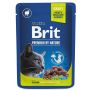 Šlapias kačių maistas Brit Premium  0.100 kg