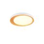 Šviestuvas plafonas Reality,LED, 24W,2700-6500K, 2500lm, Ø45
