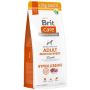 Sausas šunų maistas Brit Care, ėriena Adult M 12kg+2kg