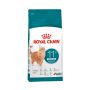 CAT FOOD ROYAL CANIN AGE STERIL 11+ 2KG