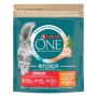 Sausas kačių maistas Purina Adult Cat,vištiena/kviečiai,750G