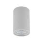 Šviestuvas lubų TK Lighting Top 5766, GU10, baltas