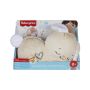 Žaislinis gyvūnas Fisher Price Soothe And Settle Bunny HXG97