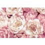 Fototapetas Komar Peonies XXL4-091, 368 cm x 248 cm