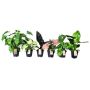 Gėlė vazone žalialapis FEEL GREEN MIX, Ø 14 cm, 0,4–0,5 m