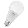 LEMPUTĖ LED WIFI A100 E27 14W 1521LM RGBW