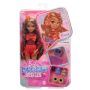 Lėlė su priedais Barbie Dream Besties HYC23, 32.5 cm