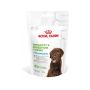Skanėstas šunims Royal Canin, paukštiena, 0.1 kg