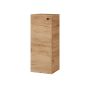 SPINTELĖ PAKAB ŪKIN MS-32GE-PM GOLD OAK