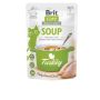 Brit Care sriuba katėms su kalakutiena, 75 gr.