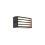 Šviestuvas Lutec ZEBRA 5203501118, 25W, E27, IP44, antracito