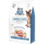 Sausas kačių maistas Brit Care, 2 kg