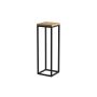 Gėlių stovas Laval, 19 cmx62 cmx19 cm, juoda/medžio spalva