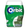 Kramtomoji guma Orbit Spearmint mėtų skonio 64g