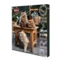 Advento kalendorius katėms Trixie Premio Xmas 0.15 kg 24 vnt