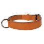 Antkaklis Zolux LEATHER LINED, smėlio ruda, 750 mm x 35 mm