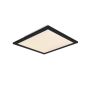 Šviestuvas lubinis Reality ALPHA, 13.5 W, LED, R62323032