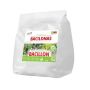 Mikrobiologinės trąšos nuo kenkėjų Bioefekts BACILLON,, 2 kg