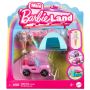 Lėlė su priedais Barbie Barbieland Mini HYF38, 15.5 cm