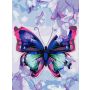 Tapymas pagal skaičius Butterfly 80909