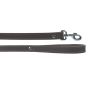 Pavadėlis Zolux LEATHER LINED, rudas, 1 m