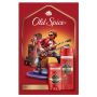 KŪNO PRIEŽ RINK OLD SPICE EPIC LEGEND