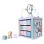 Lavinamasis kubas EcoToys EDUKACINIS KUBAS 1021