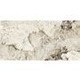 Plytelės, akmens masės AMAZONIA QUARZI STR119.8X59.8 (1.43)