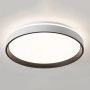 Šviestuvas plafonas Standart, LED, 48W,3000-6500K,5400lm,Ø22