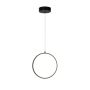 Šviestuvas lubų Domoletti CL21008C-1P D29, 13 W, LED,3000 °K