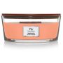 Žvakė, aromatinė WoodWick Ellipse Manuka Nectar, 53.6 g,